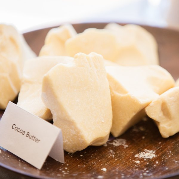 5 Amazing Ways to Use Cocoa Butter for Nourished, Glowing Skin - The SkinScience Company