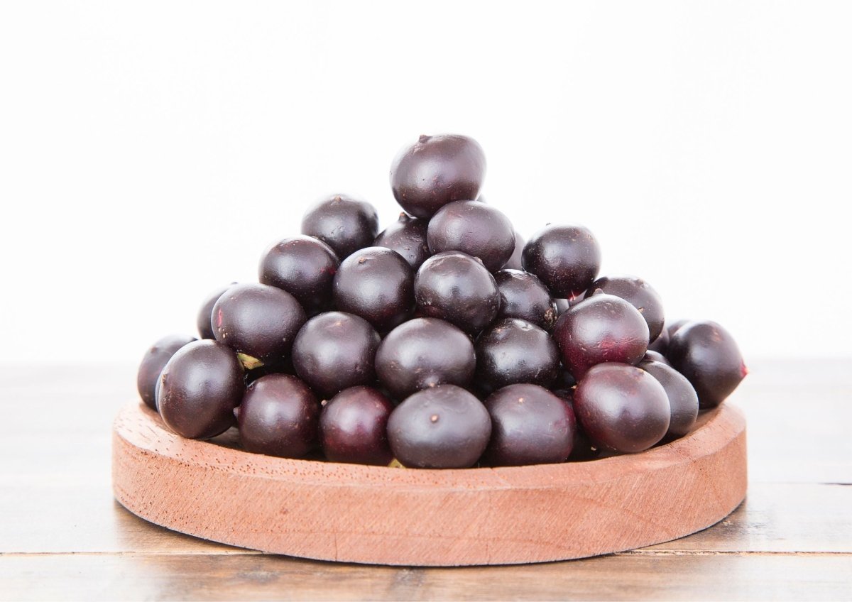 Acai Oil: The Ultimate Guide to Benefits, Uses, and How to Buy - The SkinScience Company