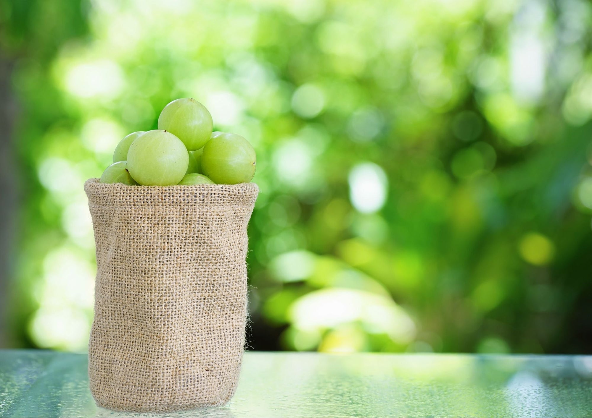 Amla Oil - The SkinScience Company