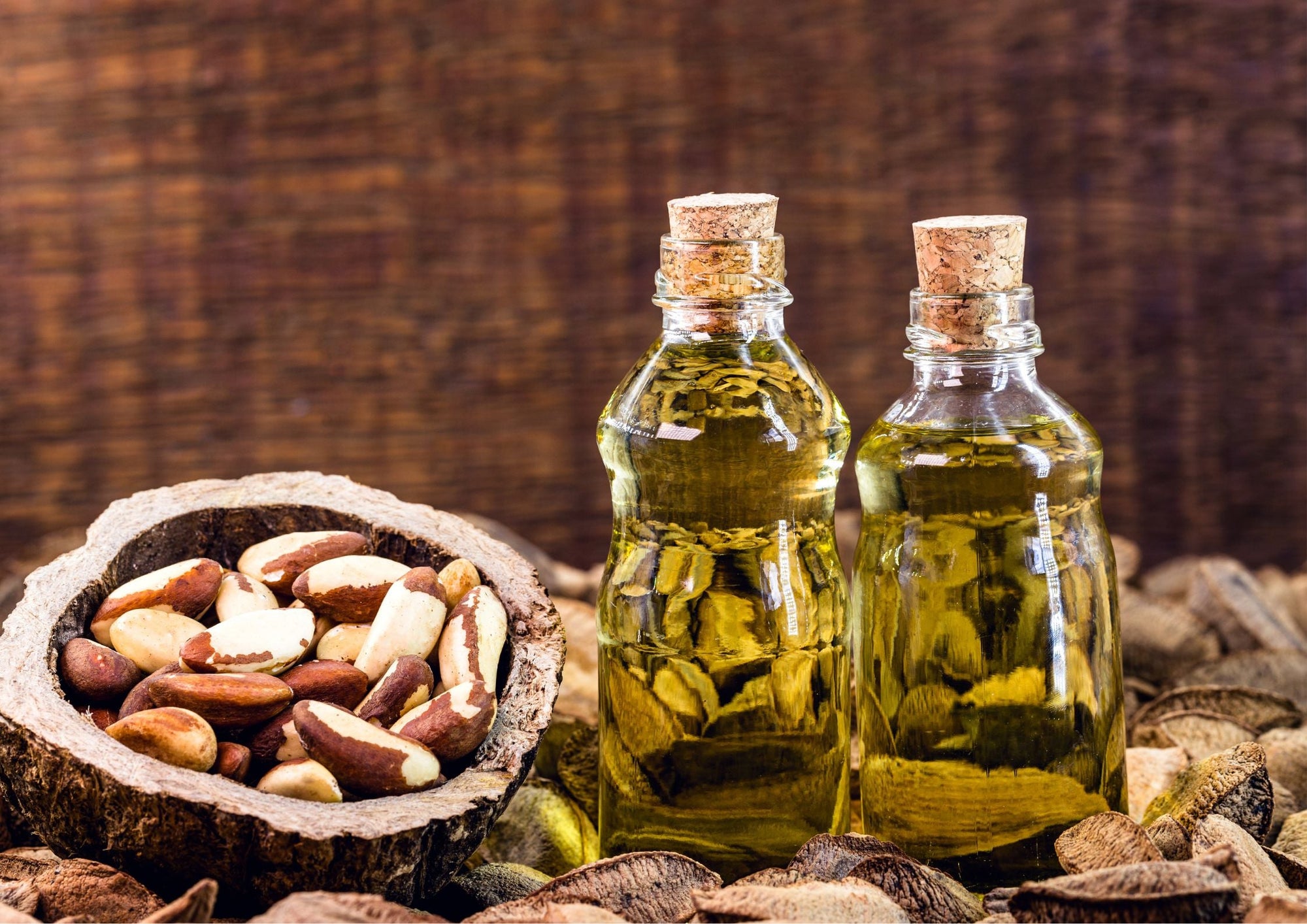What Is Brazil Nut Oil? - The SkinScience Company
