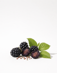 Blackberry Seed Oil