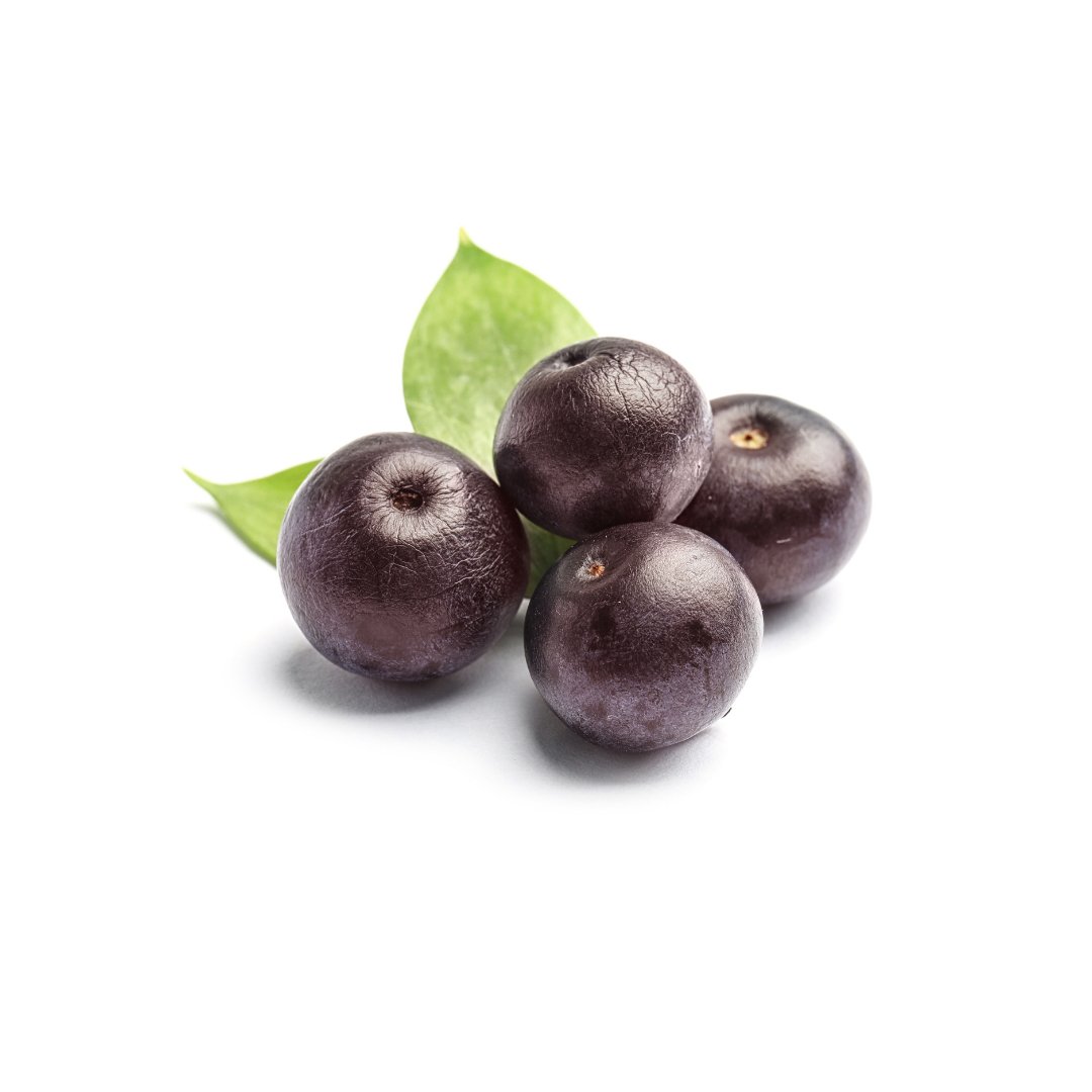 Acai Berry Oil - The SkinScience Company