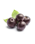 Acai Berry Oil - The SkinScience Company