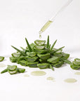 Aloe Vera Oil - The SkinScience Company