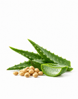 Aloe Vera Oil - Wholesale - The SkinScience Company