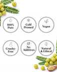 Amla Oil - The SkinScience Company