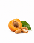 Apricot Kernel Butter - Wholesale - The SkinScience Company