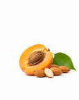 Apricot Kernel Oil - Wholesale - The SkinScience Company
