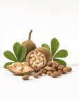 Baobab Seed Oil - The SkinScience Company