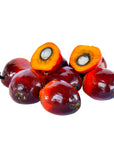 Batana Oil - The SkinScience Company