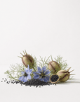 Black Cumin Seed Oil (Kalonji) - The SkinScience Company
