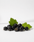 Blackcurrant Seed Oil - The SkinScience Company