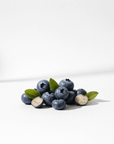 Blueberry Seed Oil - The SkinScience Company