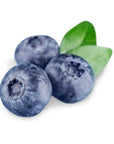 Blueberry Seed Oil - The SkinScience Company