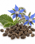 Borage Butter - The SkinScience Company