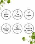 Brahmi Oil - The SkinScience Company
