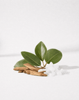 Camphor White Essential Oil - Wholesale - The SkinScience Company