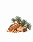 Cedarwood Essential Oil - The SkinScience Company