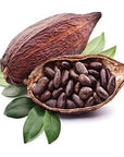 Cocoa Bean Oil - The SkinScience Company