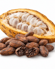 Cocoa Butter - Wholesale - The SkinScience Company