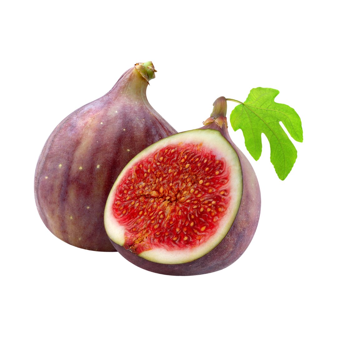 Fig Oil - The SkinScience Company