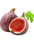 Fig Oil - The SkinScience Company