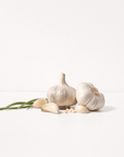 Garlic Oil - The SkinScience Company