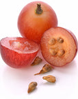 Grapeseed Oil - Wholesale - The SkinScience Company
