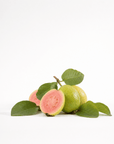Guava Oil - The SkinScience Company