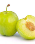 Kakadu Plum Oil - Wholesale - The SkinScience Company