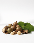 Kukui Nut Oil - The SkinScience Company