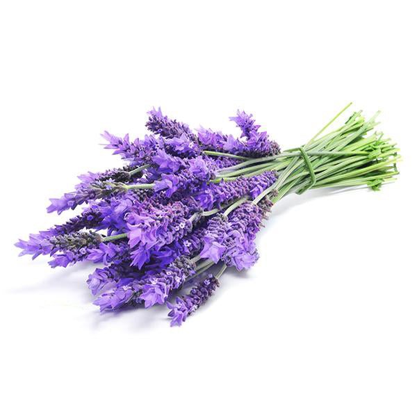 Lavender Essential Oil - The SkinScience Company
