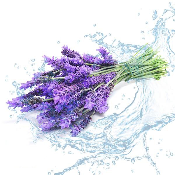 Lavender Hydrosol - Wholesale - The SkinScience Company