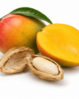 Mango Butter - The SkinScience Company