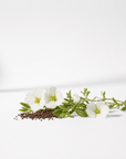 Meadowfoam Oil - The SkinScience Company