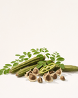 Moringa Oil - The SkinScience Company