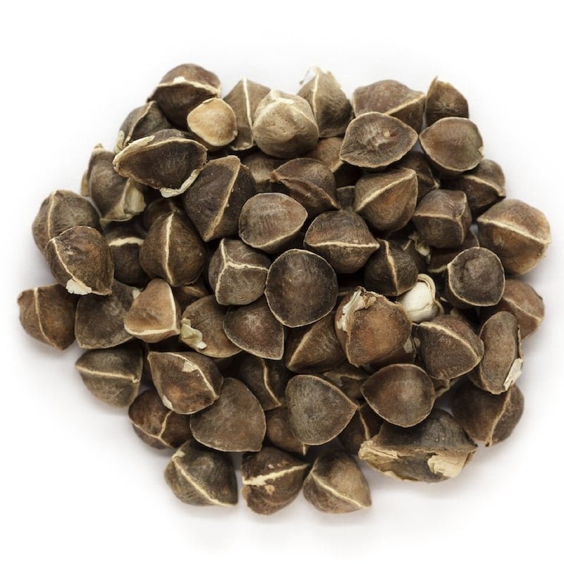 Moringa Oil - Wholesale - The SkinScience Company