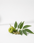 Neem Oil - The SkinScience Company