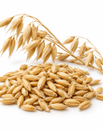 Oat Oil - Wholesale - The SkinScience Company