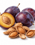 Plum Kernel Oil - Wholesale - The SkinScience Company
