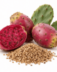 Prickly Pear Butter - Wholesale - The SkinScience Company