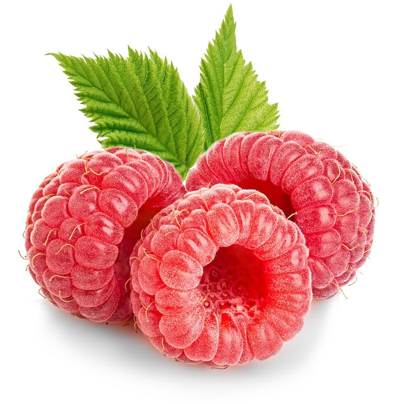 Raspberry Seed Oil - The SkinScience Company