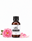 Rose Hydrosol 100 ml, floral water | The Skin Science Company