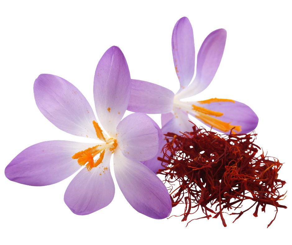 Saffron Oil - The SkinScience Company
