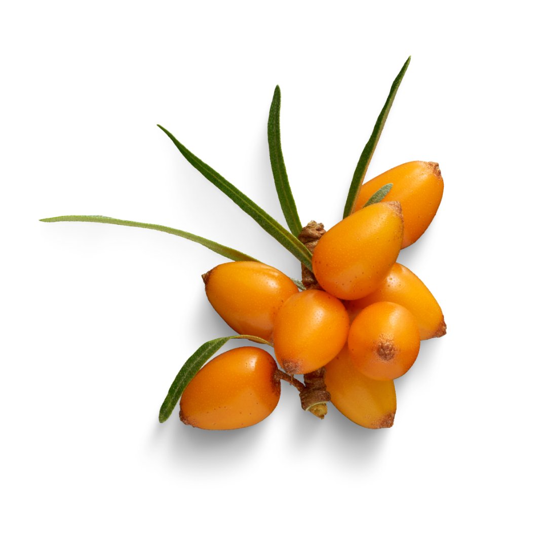 Sea Buckthorn Oil - The SkinScience Company