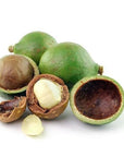 Tamanu Oil - Wholesale - The SkinScience Company