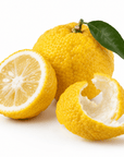 Yuzu Essential Oil - Wholesale - The SkinScience Company