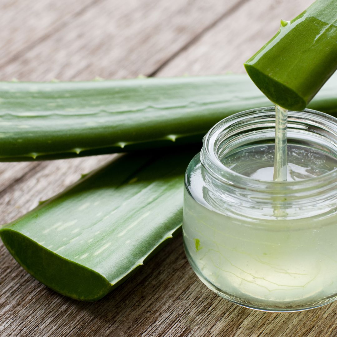 Everything You Need To Know About Aloe Vera Gel - The SkinScience Company