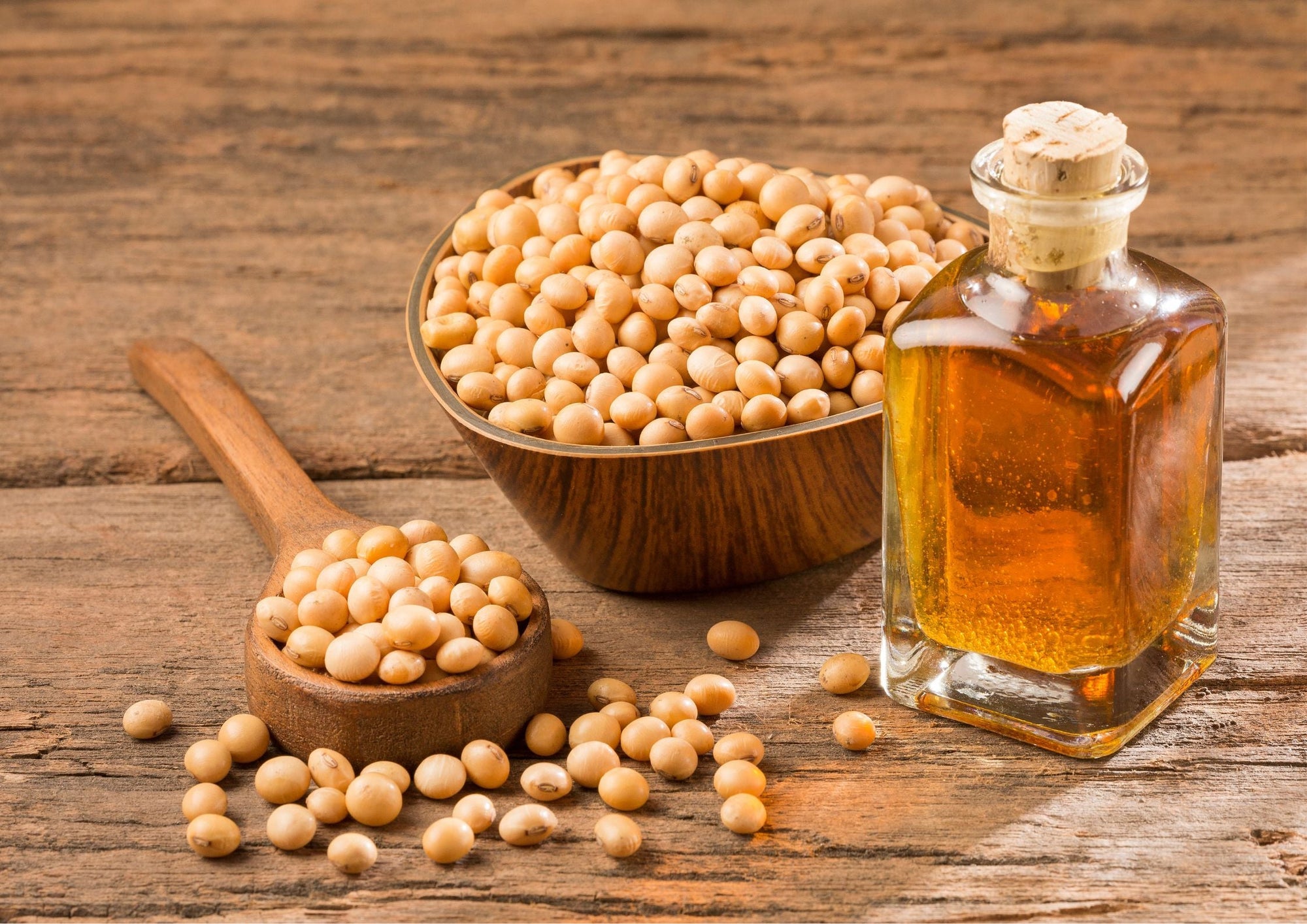 Soybean Oil - The SkinScience Company