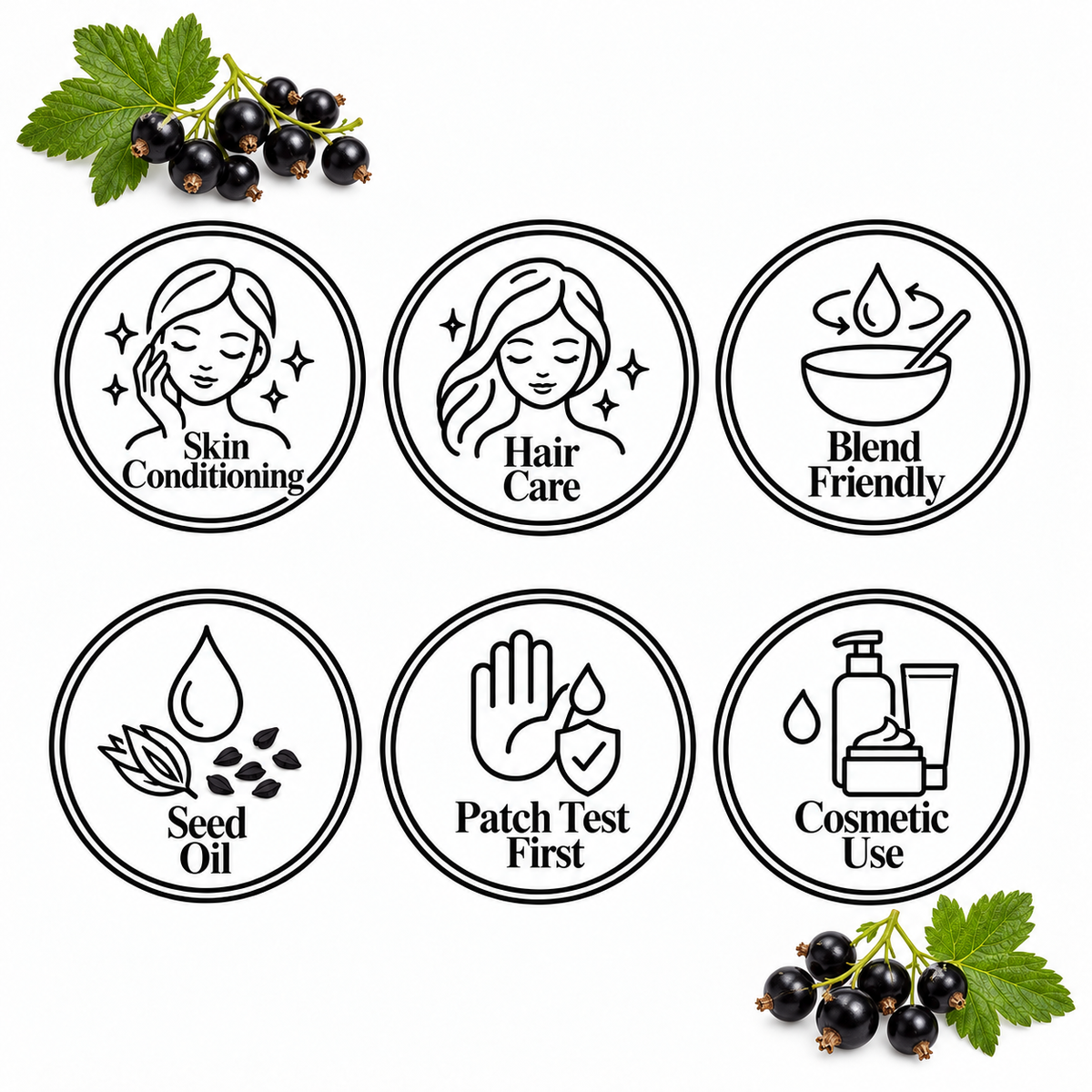Blackcurrant Seed Oil, six-circle feature page